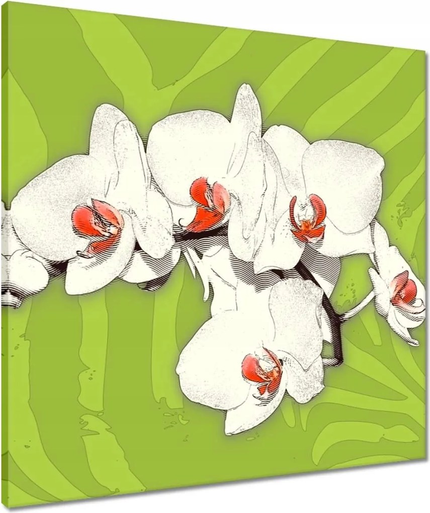 Vászonkép 60x60 Lime és orchidea