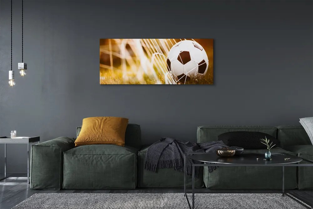 Canvas képek A labda sárga fű háttér 125x50 cm