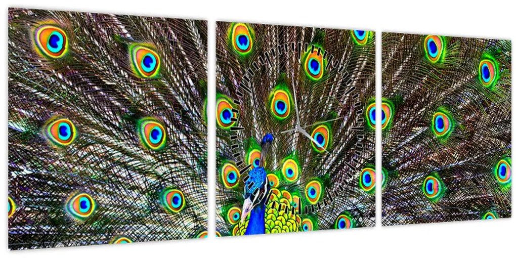 Kép - Páva (órával) (90x30 cm)