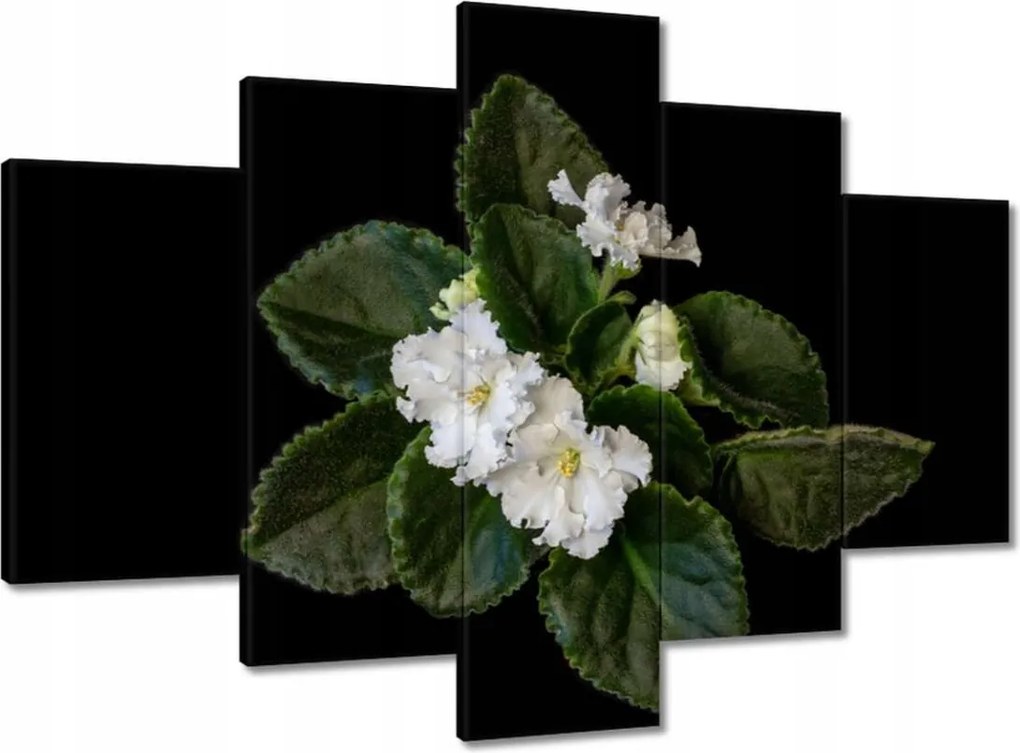 Vászonkép 150x105 Fehér jázminvirág