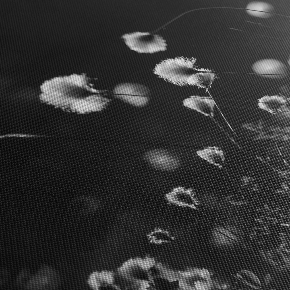 Kép - Gyapotfűvel borított rét N⁰1 (órával) (90x30 cm)