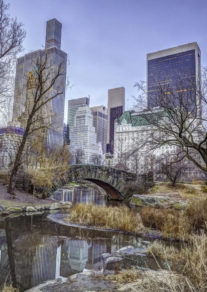 Poszter 42x59,4cm Központi park Manhattan panorámával 2, Assaf Frank