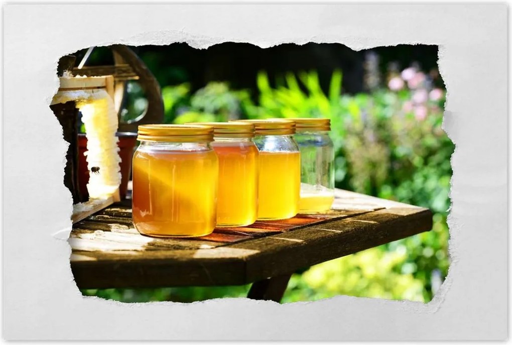 Poszterek 60x40 Természetes méz