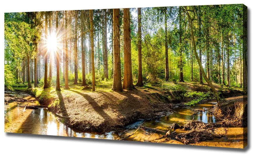 Feszített vászonkép Panorama erdő pl-oc-120x60-f-145813283