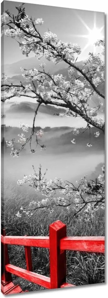 Vászonkép 40x100 Virágzó cseresznye Japán