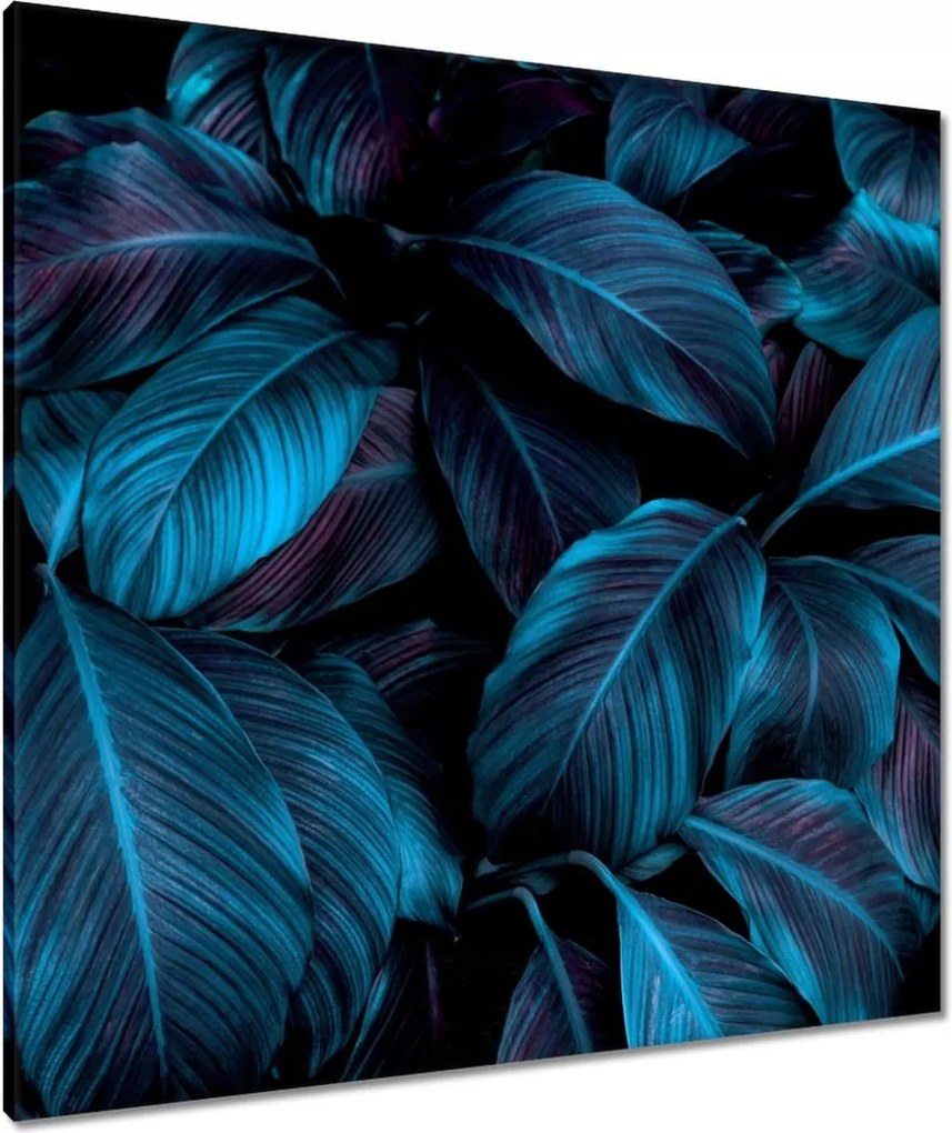 Vászonkép 80x80 Gyönyörű kék levelek