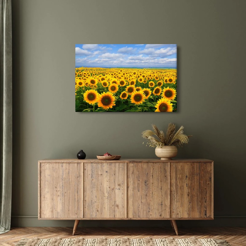 A napraforgó mező képe (90x60 cm)