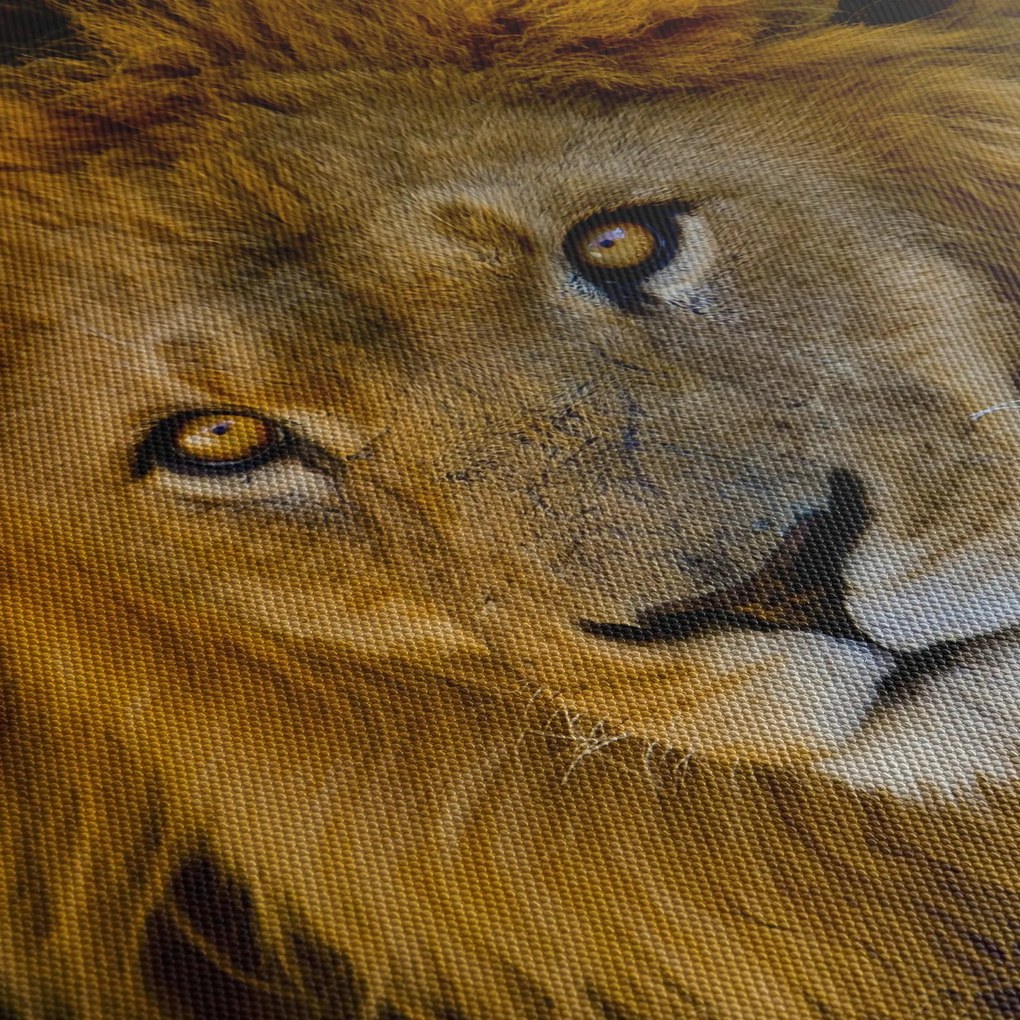 Kép - Egy oroszlán portréja (90x60 cm)