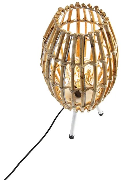 Rusztikus asztali lámpa állványon bambuszból fehérrel - Canna Capsule