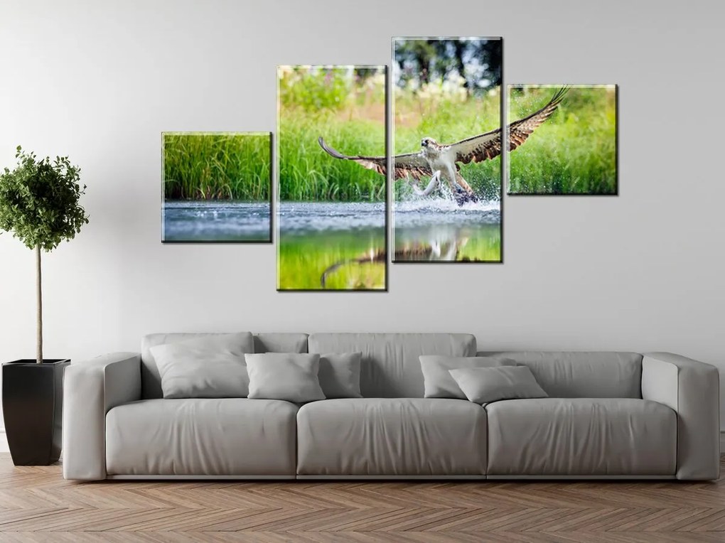 Gario Vászonkép Rétisas vadászik - 4 részes Méret: 160 x 90 cm
