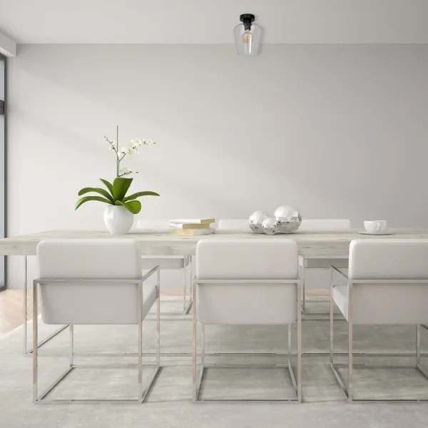 Mennyezeti lámpa SANTIAGO 1xE27/60W/230V átlátszó