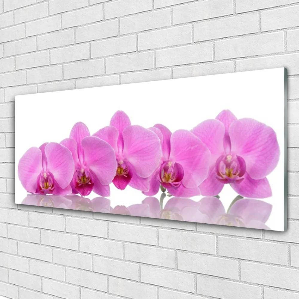 Modern üvegkép Rózsaszín orchidea virágok 120x60cm