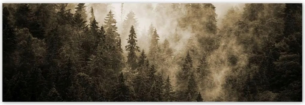 Poszterek 200x66 Tájkép Szépia Hegyek Köd