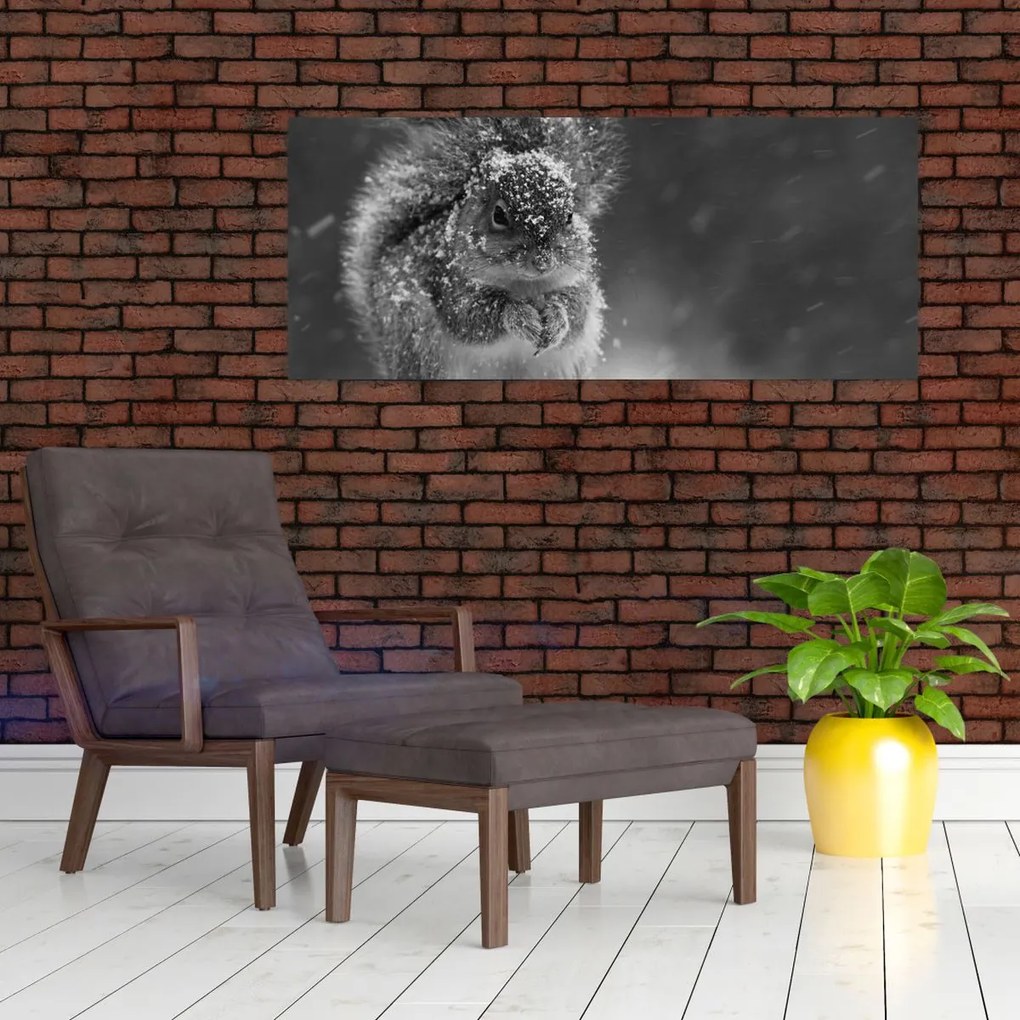 Kép - Mókus télen (120x50 cm)