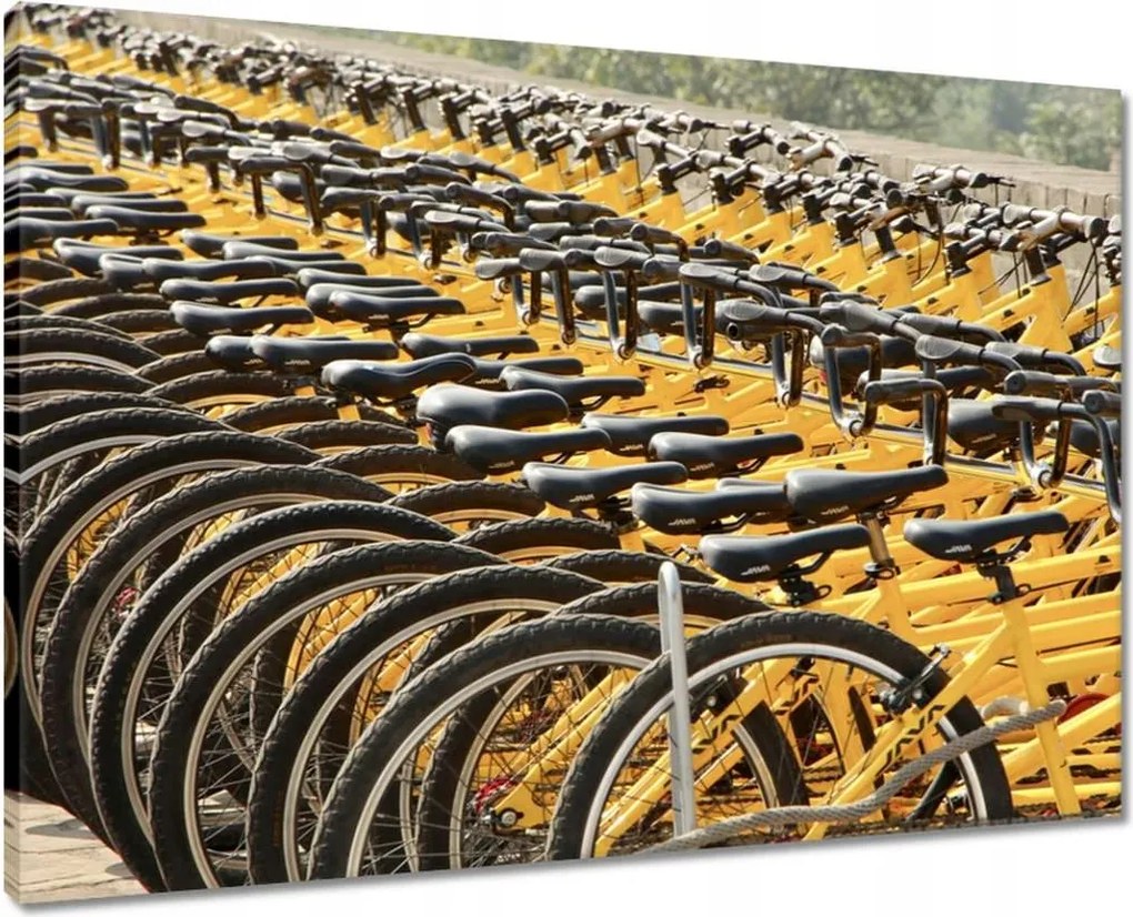 Vászonkép 70x50 Kerékpárok Két kerék