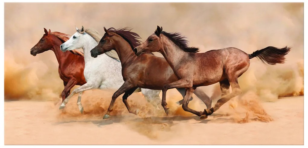 Gario Vászonkép Gyönyöru lovak állománya Méret: 100 x 70 cm