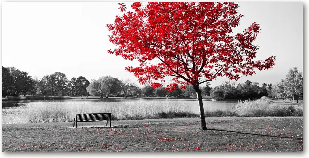 Fotótapéta üvegfalra Vörös fa 140x70