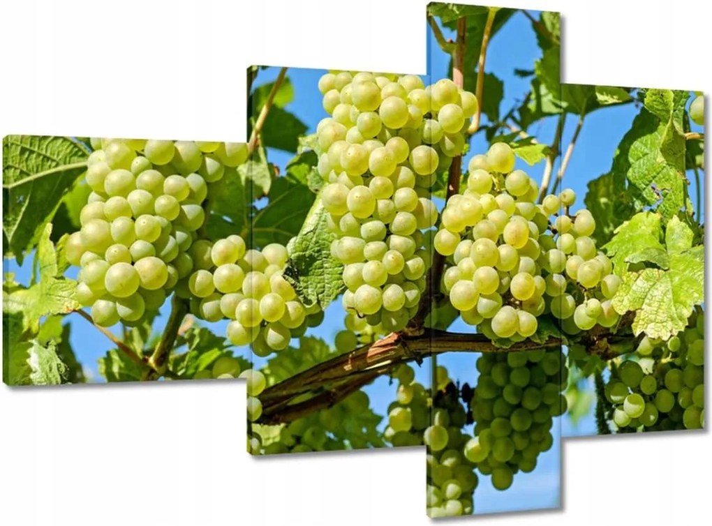 Vászonkép 100x70 Zöld szőlő