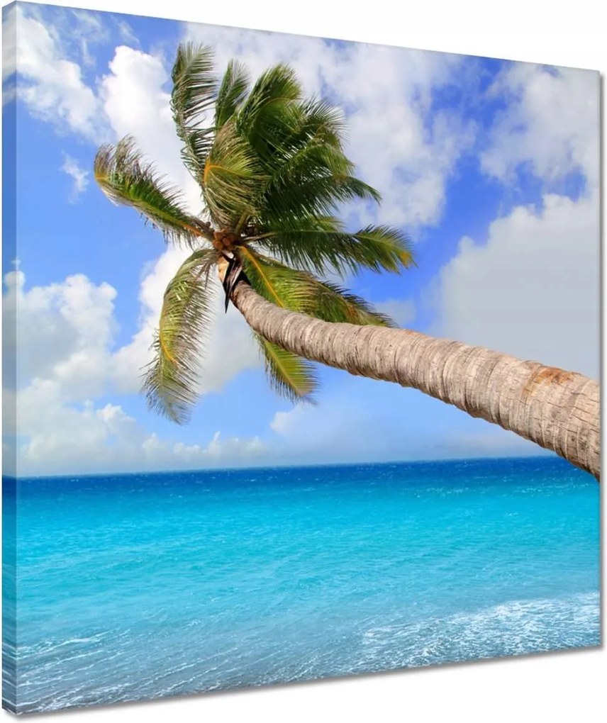 Vászonkép 40x40 Pálmafák az óceán felett