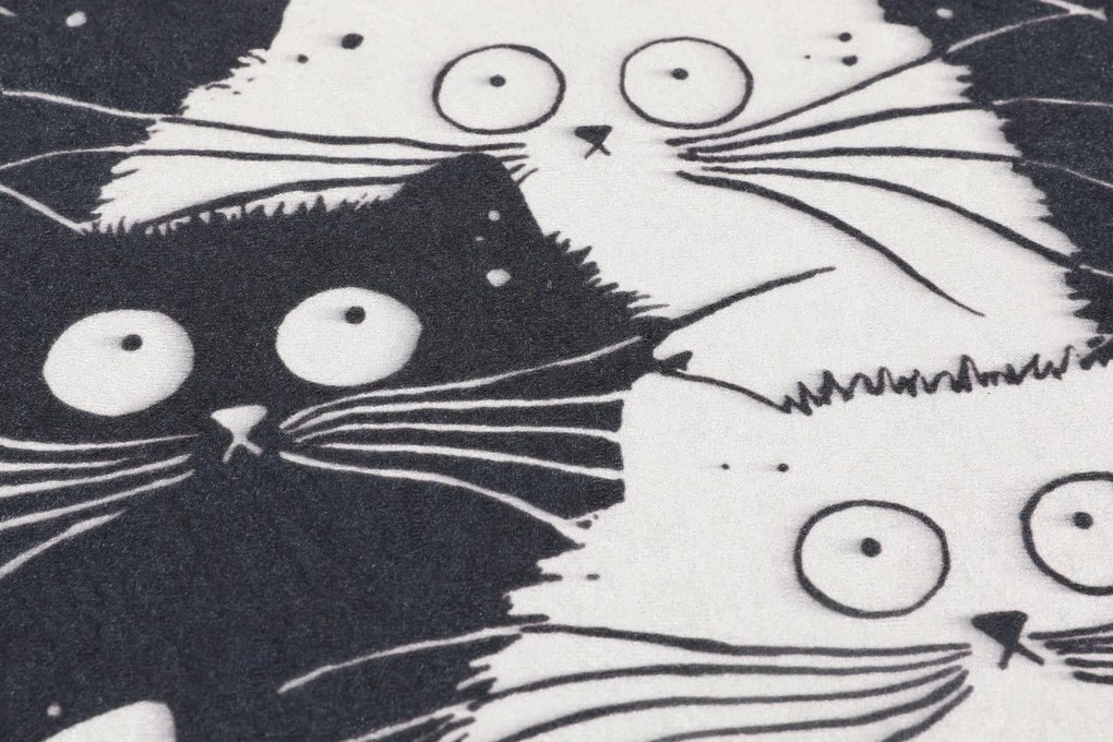 Fürdőszobaszőnyeg Fehér Cats Djt