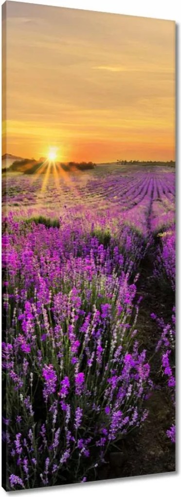 Vászonkép 40x100 Levendula naplemente