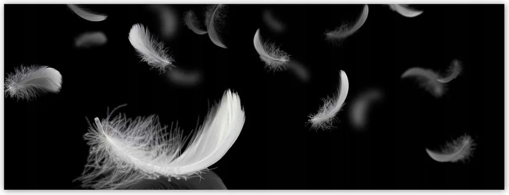 Fotótapéták 250x93 Hulló fehér tollak