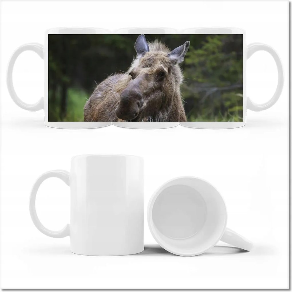 Fotó bögre Szarvas Állatok