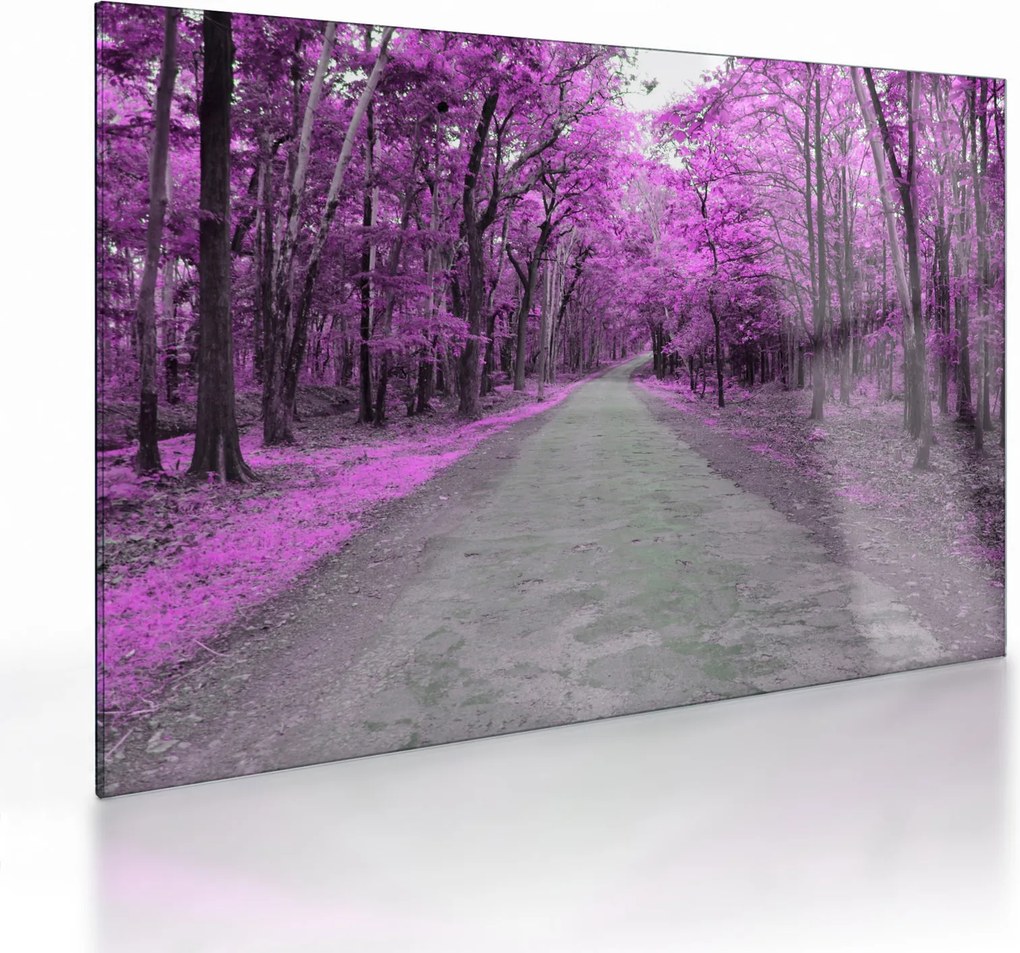Kép - Út a parkon (üvegen) (70x50 cm)