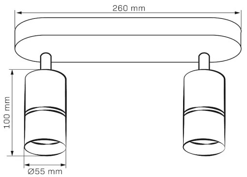 Spotlámpa BAMBOO 2xGU10/10W/230V fehér