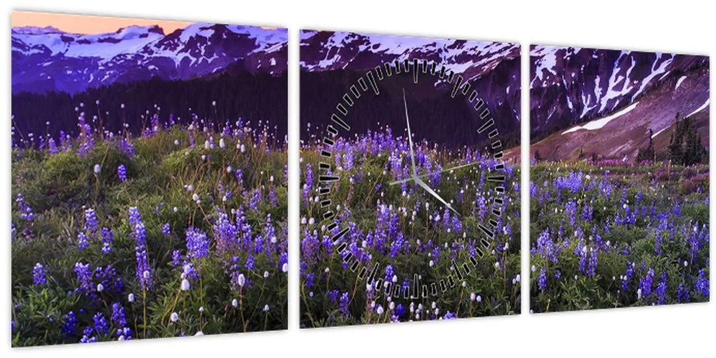 Kép - Vulkán és a virágok (órával) (90x30 cm)