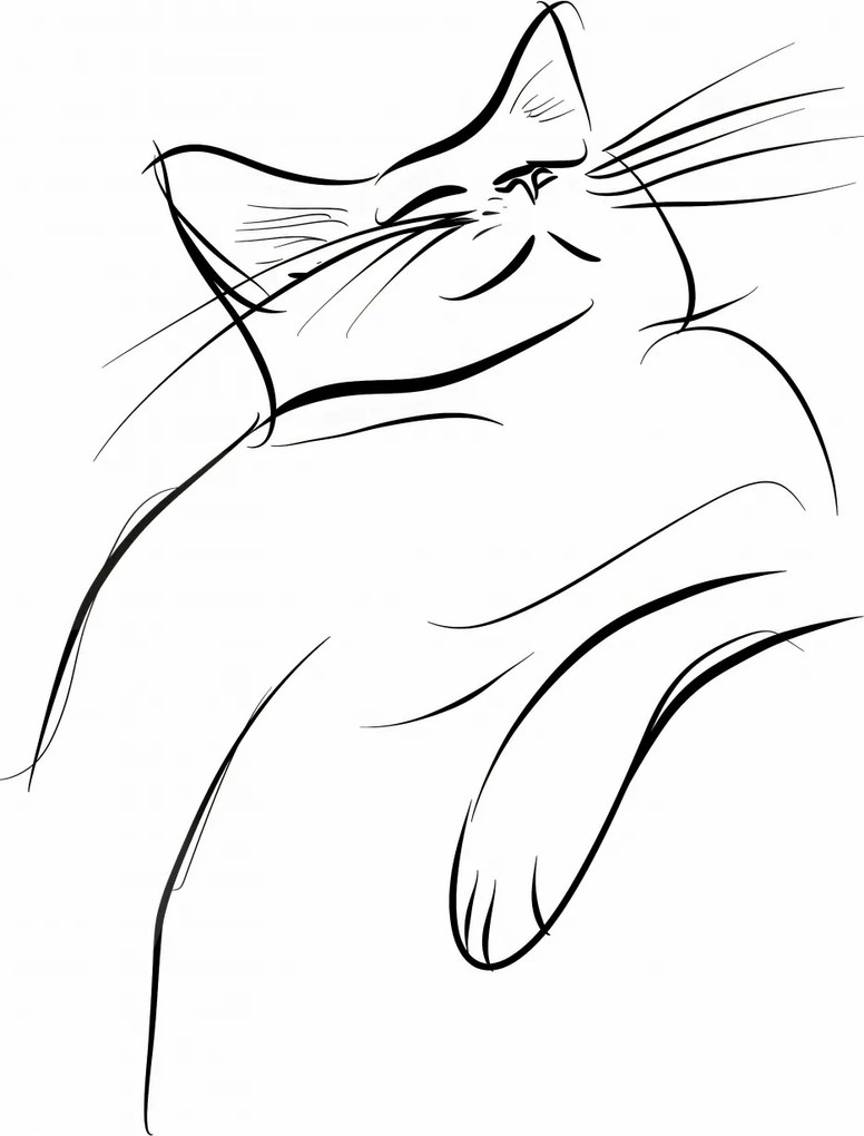 Poszter 29,7x42cm Macskaelégedettség vázlat