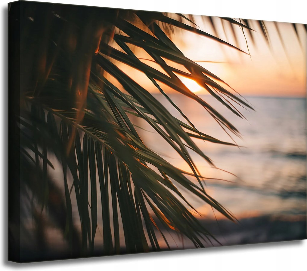 Vászonkép Természet Tengerpart Pálma Tenger Naplemente 40x30