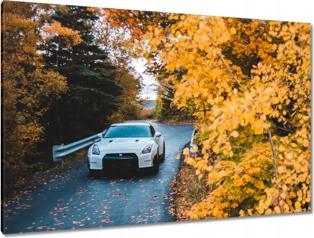 Képek 120x80 Autó-Motor Autók