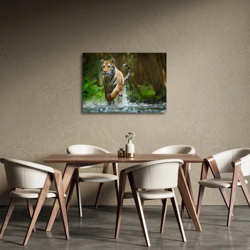 Futó tigris képe (70x50 cm)