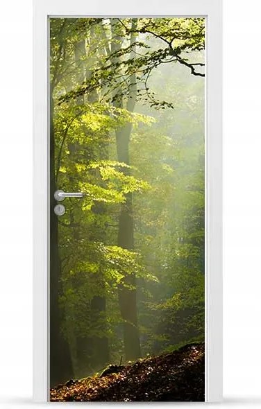 Furnér Kültéri Ajtó matrica Bútor öntapadós Könnyű Ragasztás