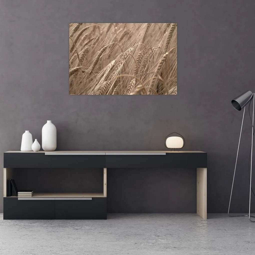 Kép - Az arany mező (90x60 cm)
