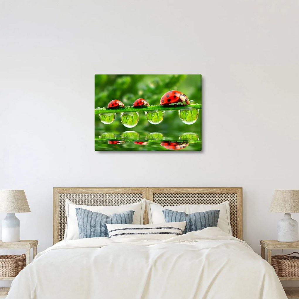 Kép - A hét nap napfénye (70x50 cm)