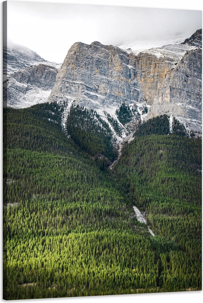 Vászonkép Canvas Natura Kilátás a hegyekre Erdő 60x90 cm