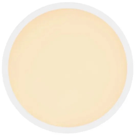 Globo 41562-24W - LED Fürdőszobai mennyezeti lámpa SAPANA LED/24W/230V IP44