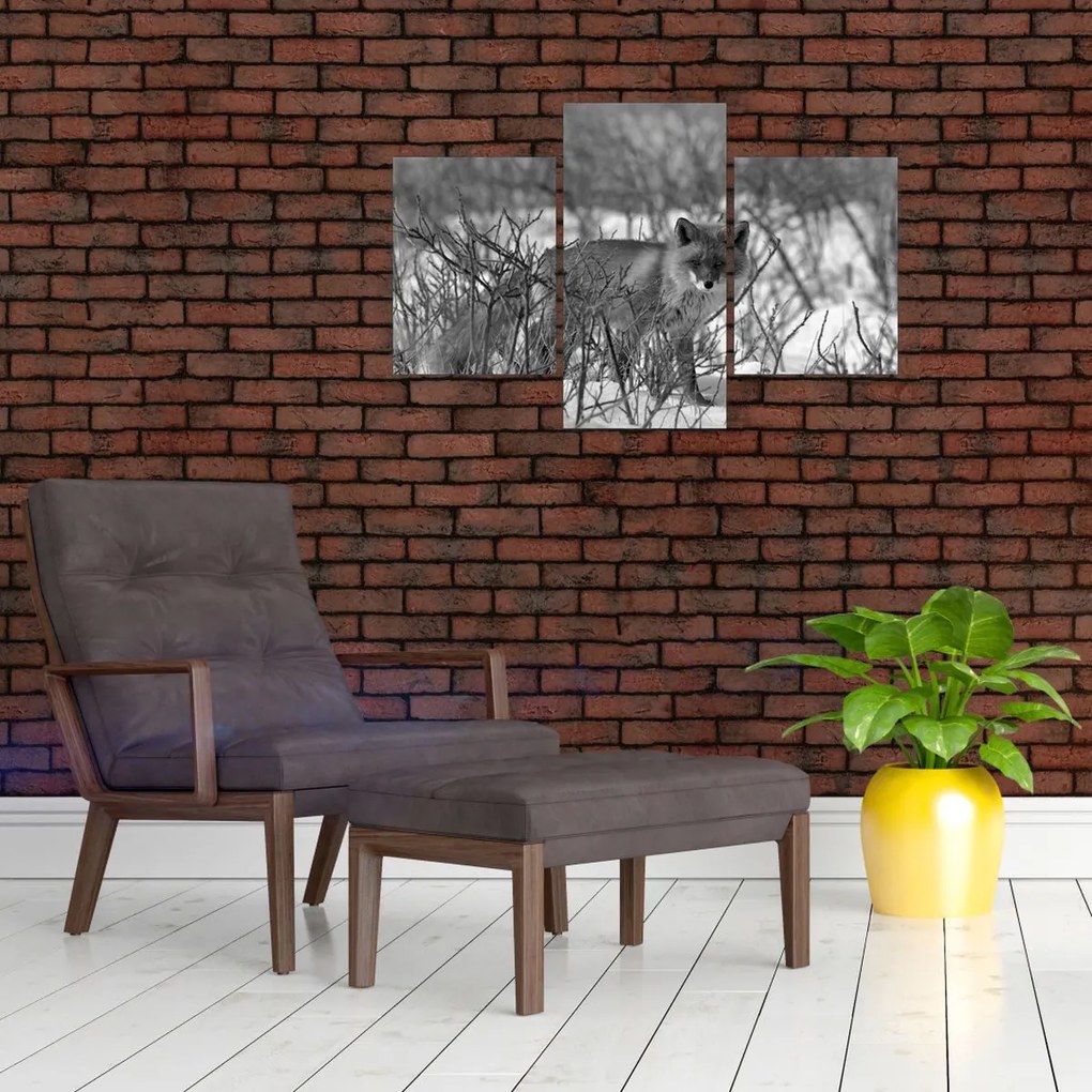 Kép - Róka télen (90x60 cm)