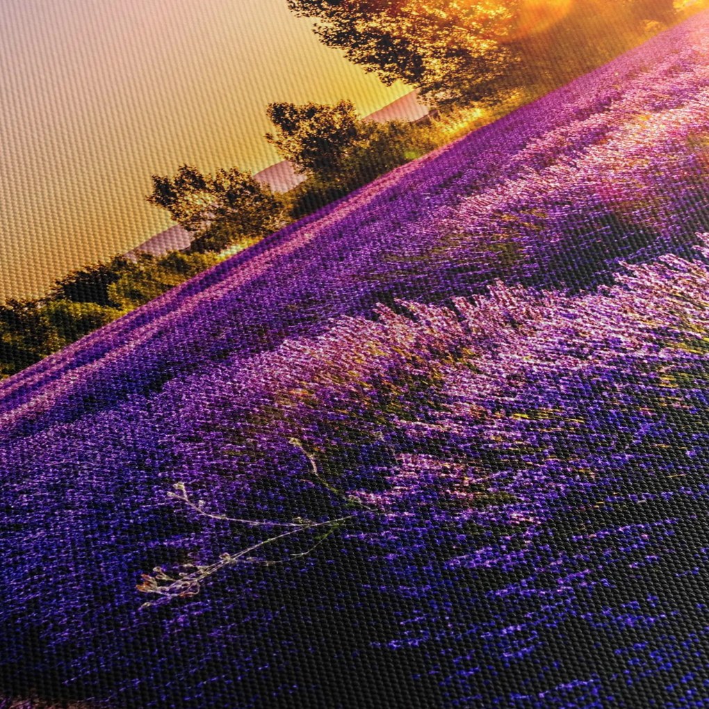 A levendula mező képe, Provence (órával) (90x30 cm)