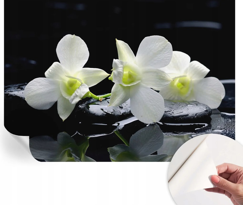 Mosható öntapadós fotótapéta Étkezőbe Virágok kövek 208x146 cm