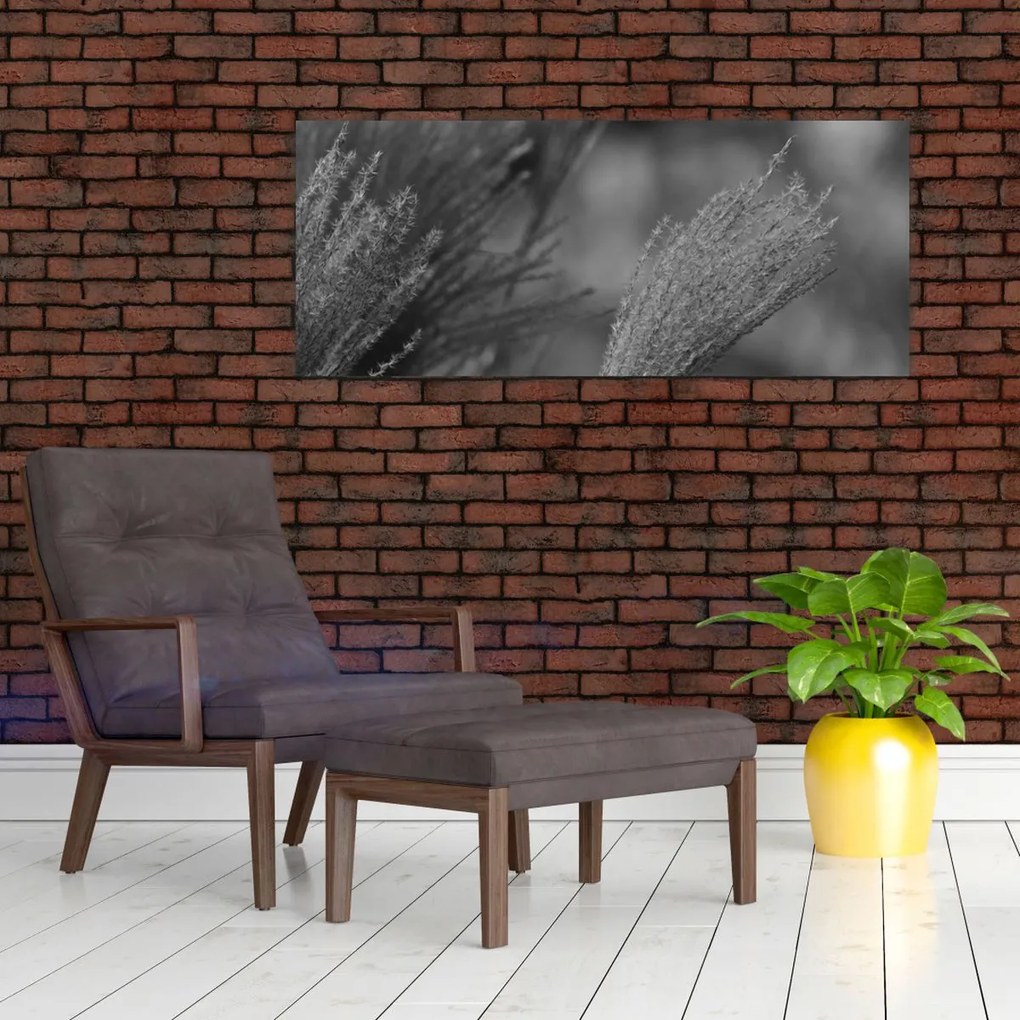 Kép - Szárított pampafű (120x50 cm)