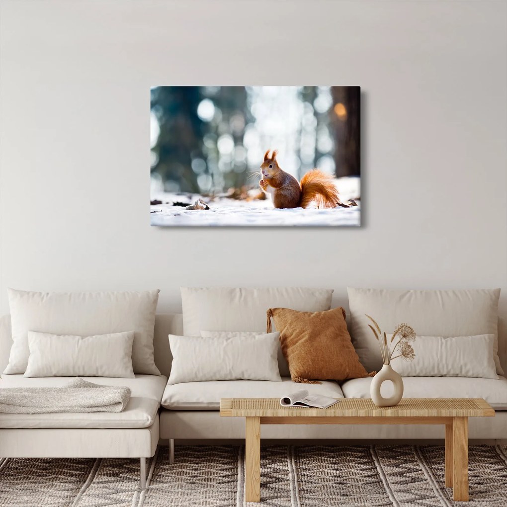 Kép - Mókus (90x60 cm)