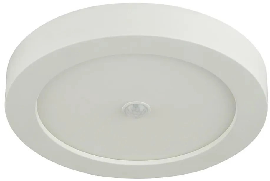 Globo Globo 41605-18S - LED kültéri mennyezeti lámpa PAULA érzékelővel 1xLED / 18W / 230V GL4846