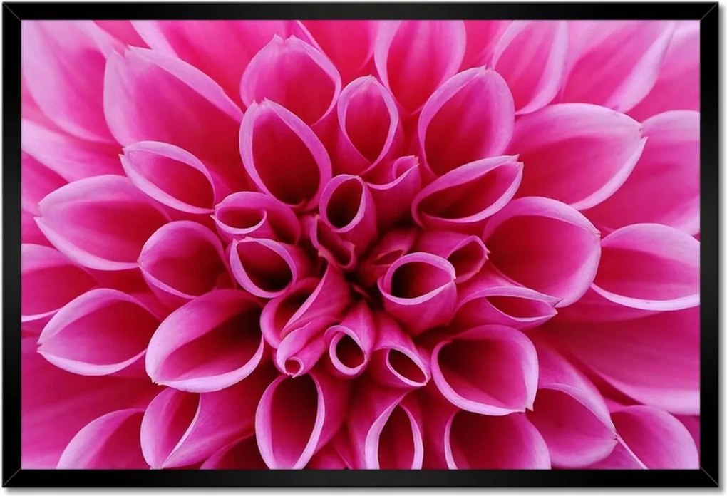 Poszterek keretben 60x40 Liliom