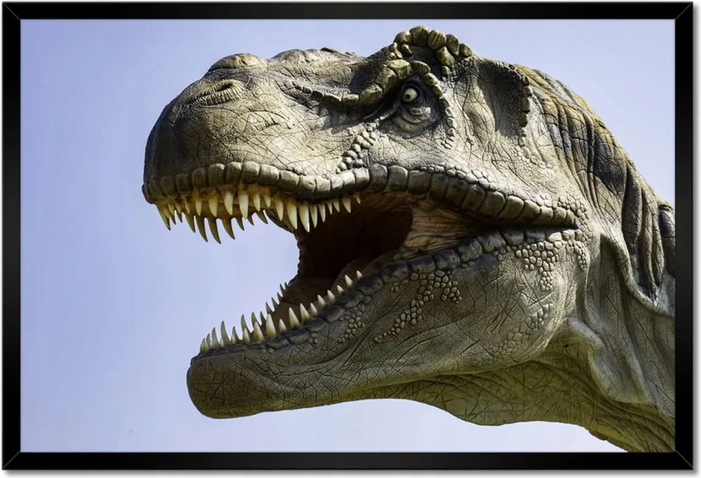 Poszterek keretben 60x40 Tyrannosaurus portré