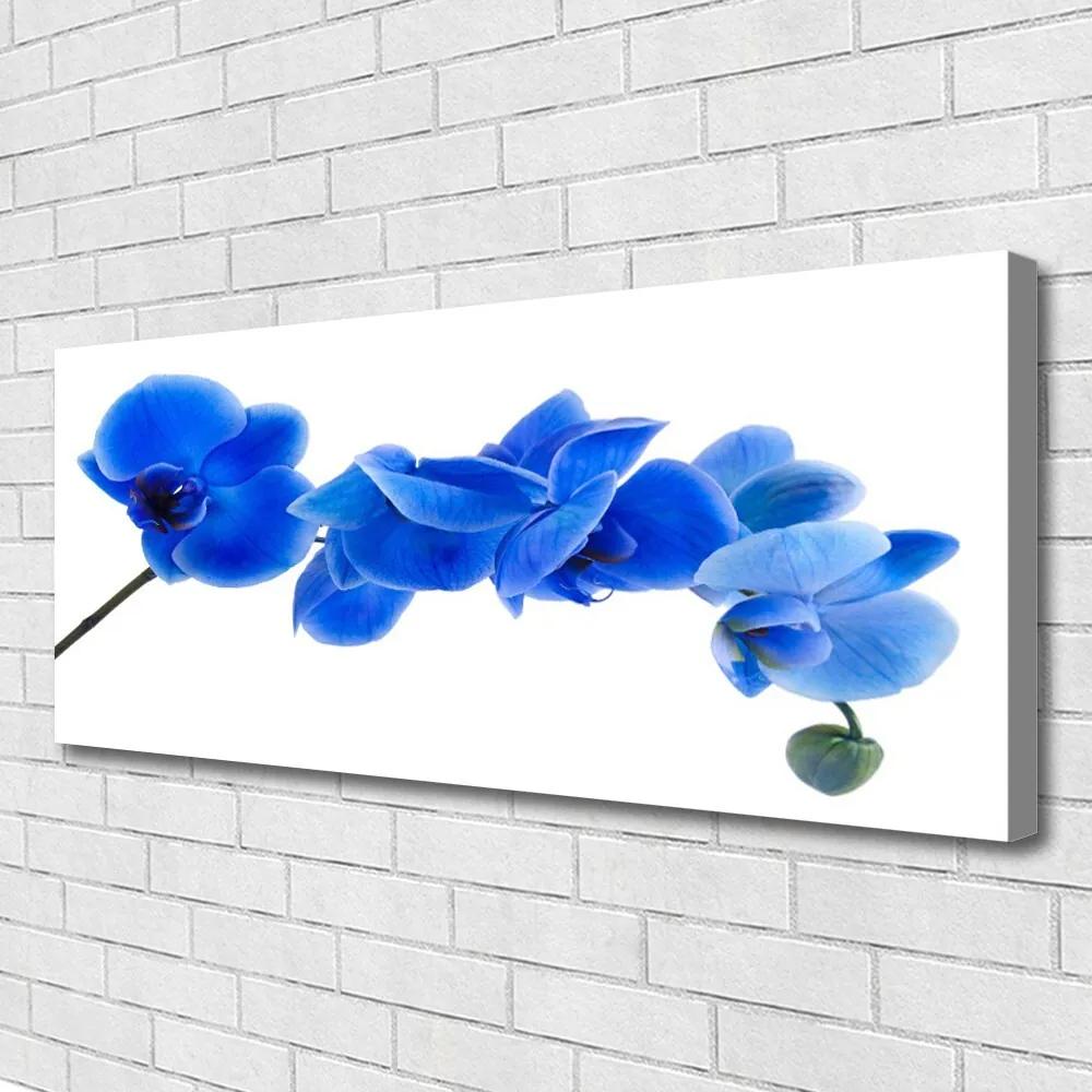 Vászonkép Természet virág növény 100x50 cm