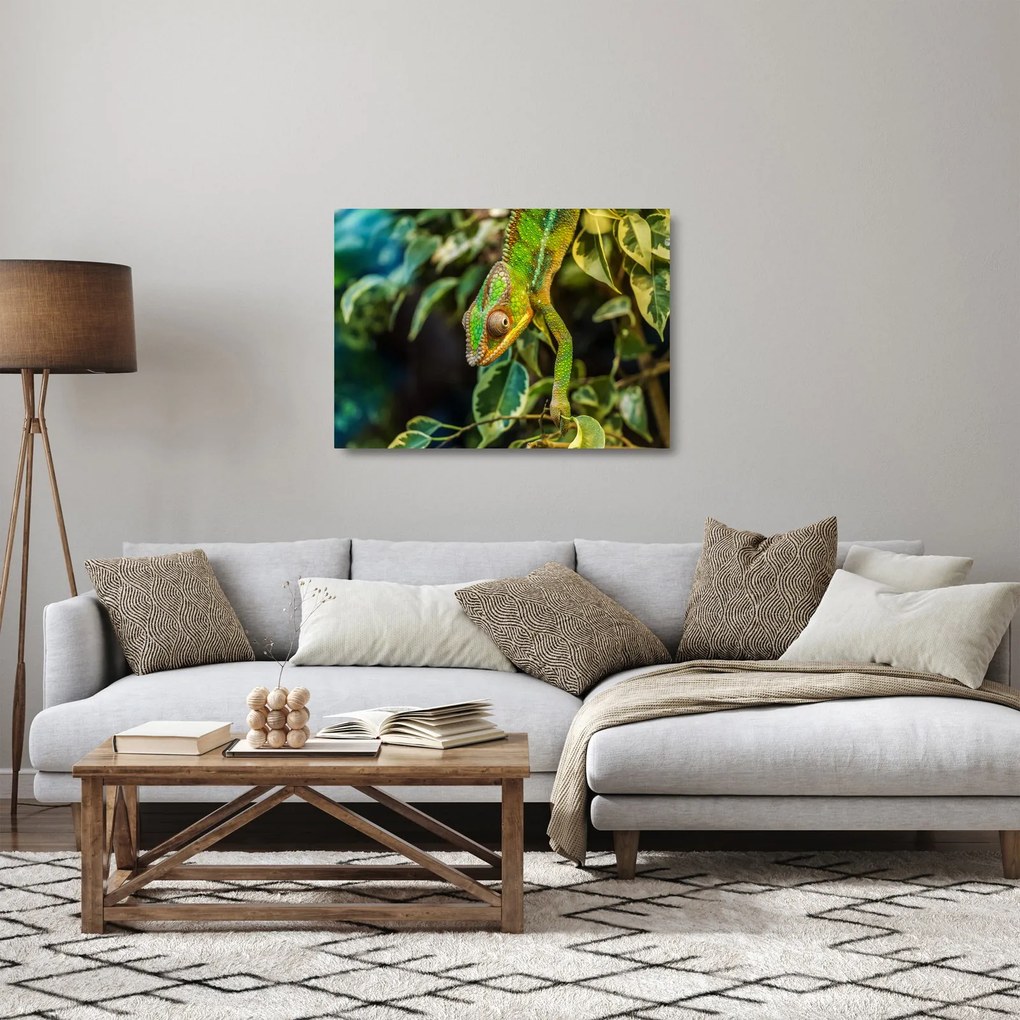 Kaméleon képe (üvegen) (70x50 cm)
