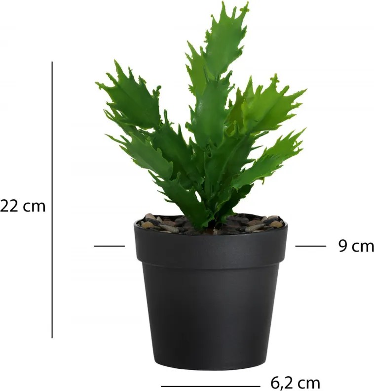 Váza, Ø9 cm – TR968HBR1228